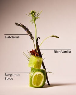 Vanilla Noir Ultimate Hydration Body Cream