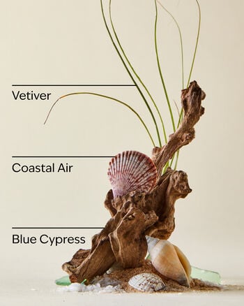 Ocean Signature Single Wick Candle Single Wick Candle