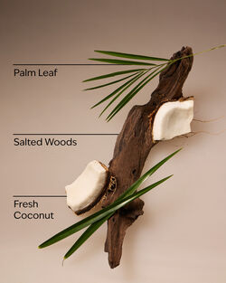 Coconut Nectar Travel Size Fine Fragrance Mist