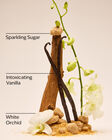 Warm Vanilla Sugar Fine Fragrance Mist image number null