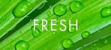 Fresh