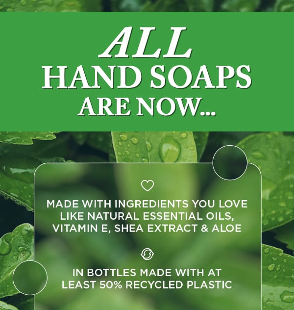 body-spray-and-mists