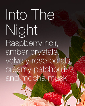Into The Night 