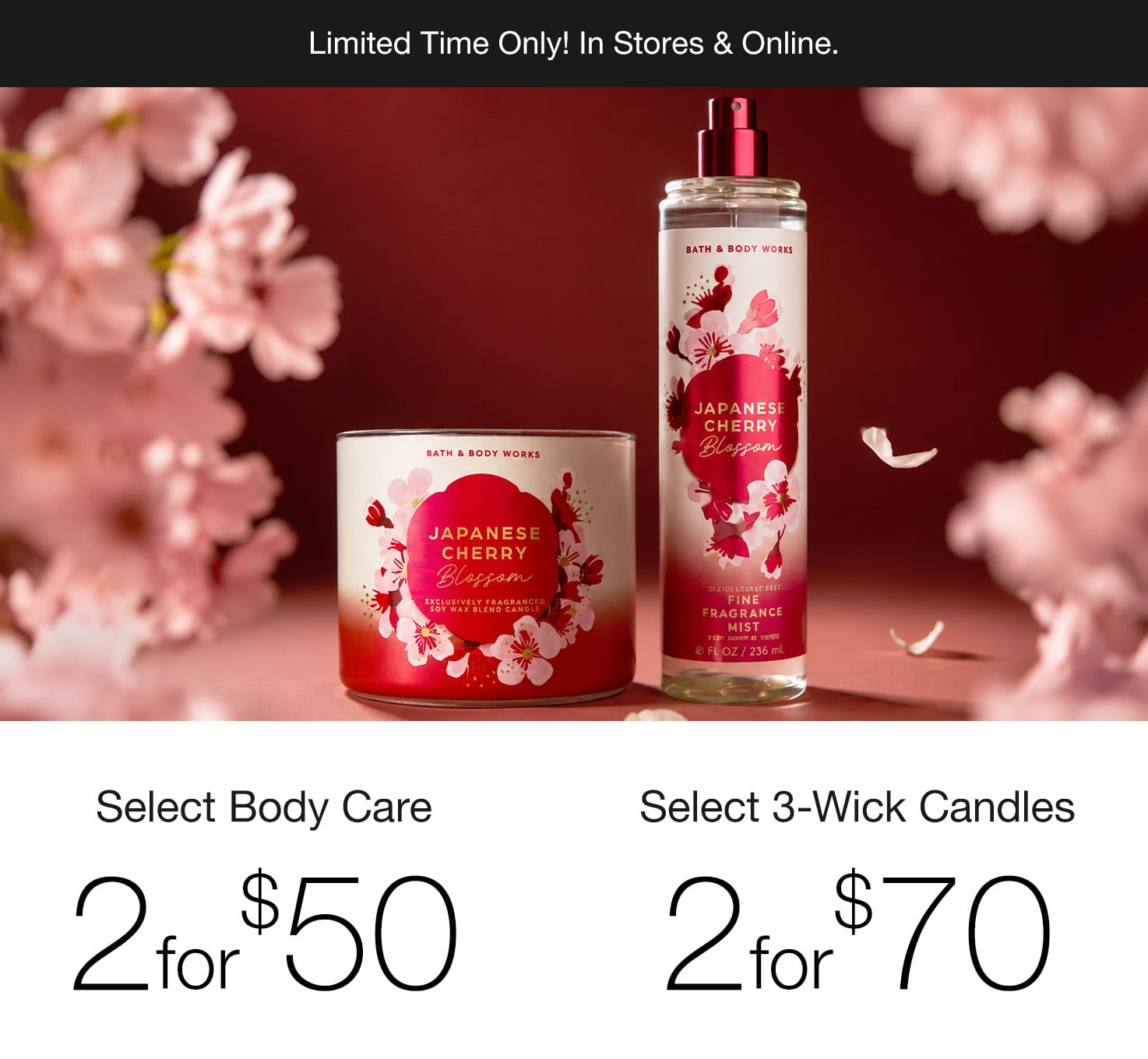 Discover Iconic Signature Scents