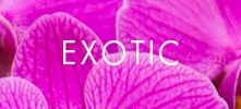 Exotic